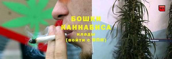 шишки Новозыбков
