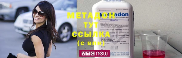 индика Гусев