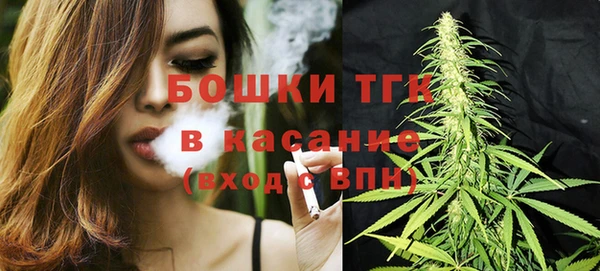ПСИЛОЦИБИНОВЫЕ ГРИБЫ Гусиноозёрск